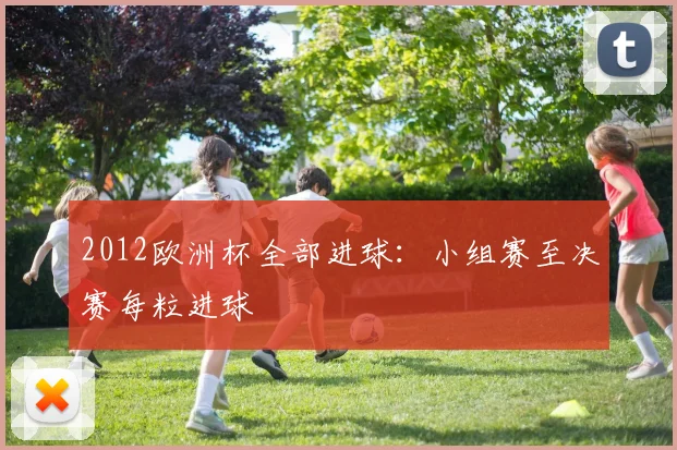 2012欧洲杯全部进球：小组赛至决赛每粒进球