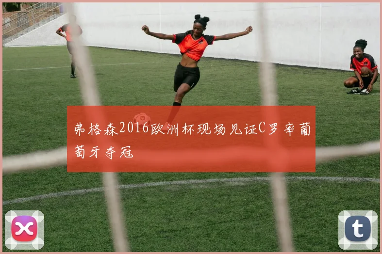 弗格森2016欧洲杯现场见证C罗率葡萄牙夺冠