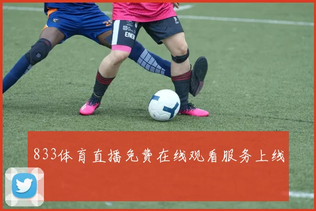 833体育直播免费在线观看服务上线