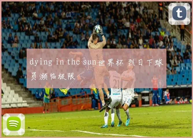 dying in the sun世界杯 烈日下球员濒临极限