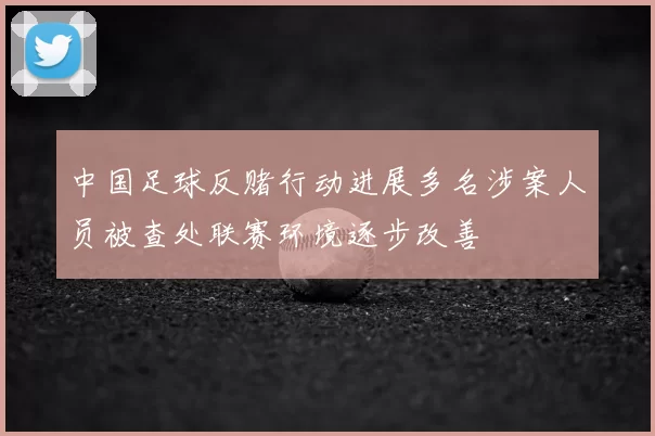 中国足球反赌行动进展多名涉案人员被查处联赛环境逐步改善
