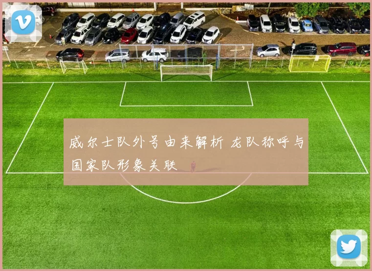 威尔士队外号由来解析 龙队称呼与国家队形象关联