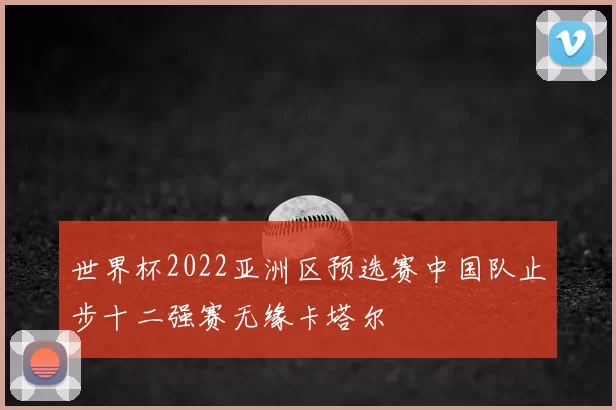 世界杯2022亚洲区预选赛中国队止步十二强赛无缘卡塔尔